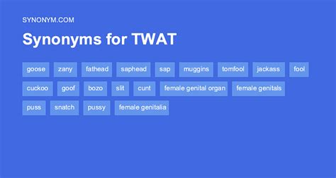 twat synonym